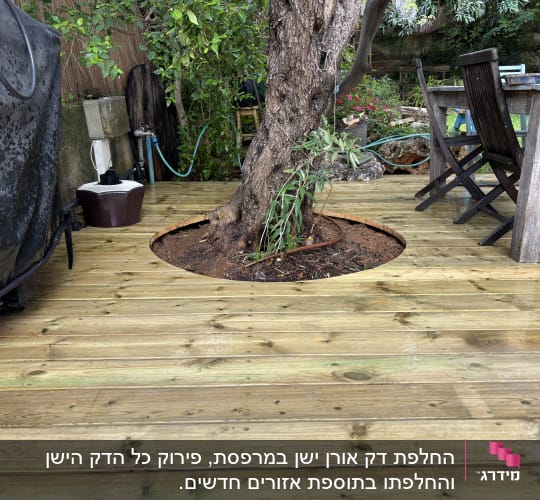 דק עץ עם עץ במרכז, שולחן וכיסאות בגינה